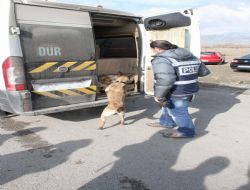Okul servisinde uyuşturucu yakalandı